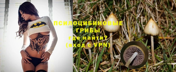 мет Надым