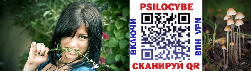 Псилоцибиновые грибы мухоморы  omg   Тетюши 