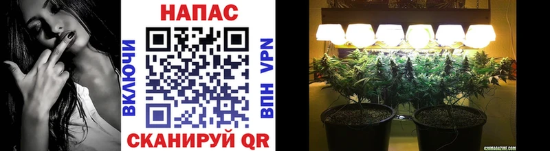дарк нет Telegram  Тетюши  Бошки марихуана индика 